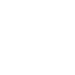 SEO Strategy