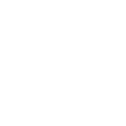 Shopify Theme Development