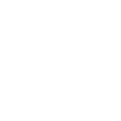 SEO auditing