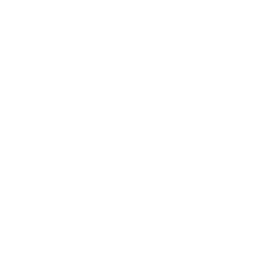 ecommerce development