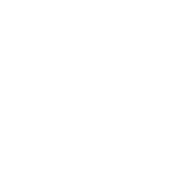 local SEO