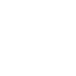 wireframes